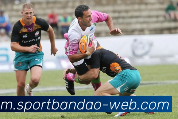 半岛体育平台生态图