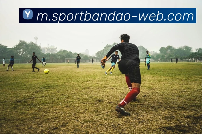 半岛体育全站App